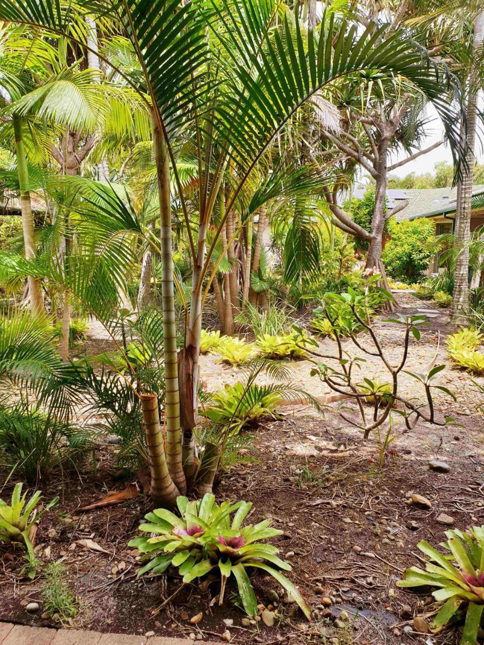 Ballina Beach Resort Exterior photo